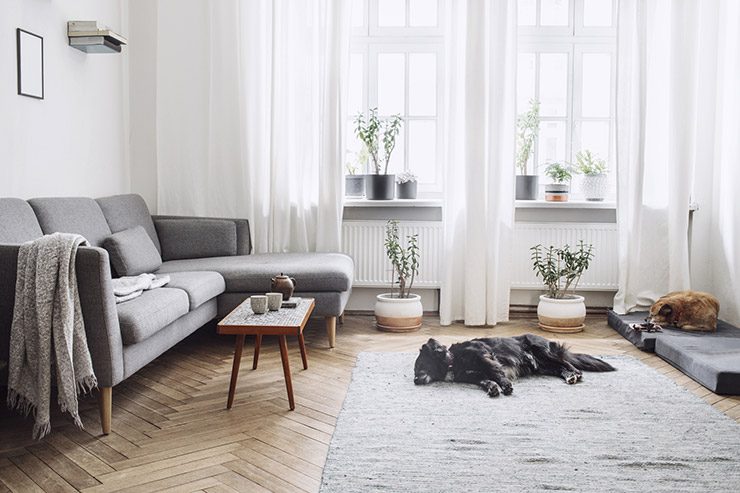 interior design 2019 living room