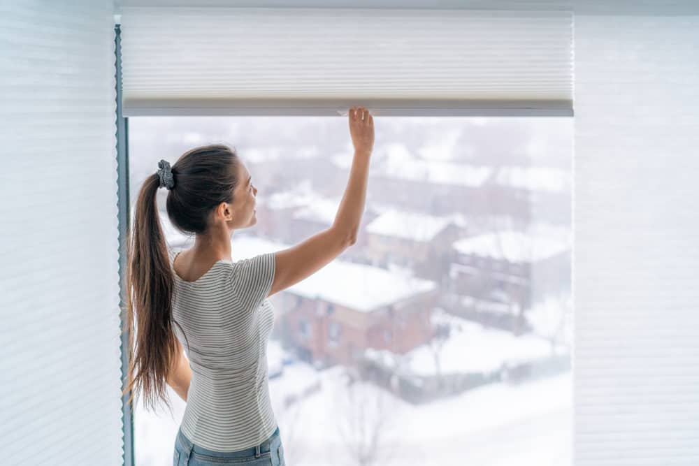 indoor blinds