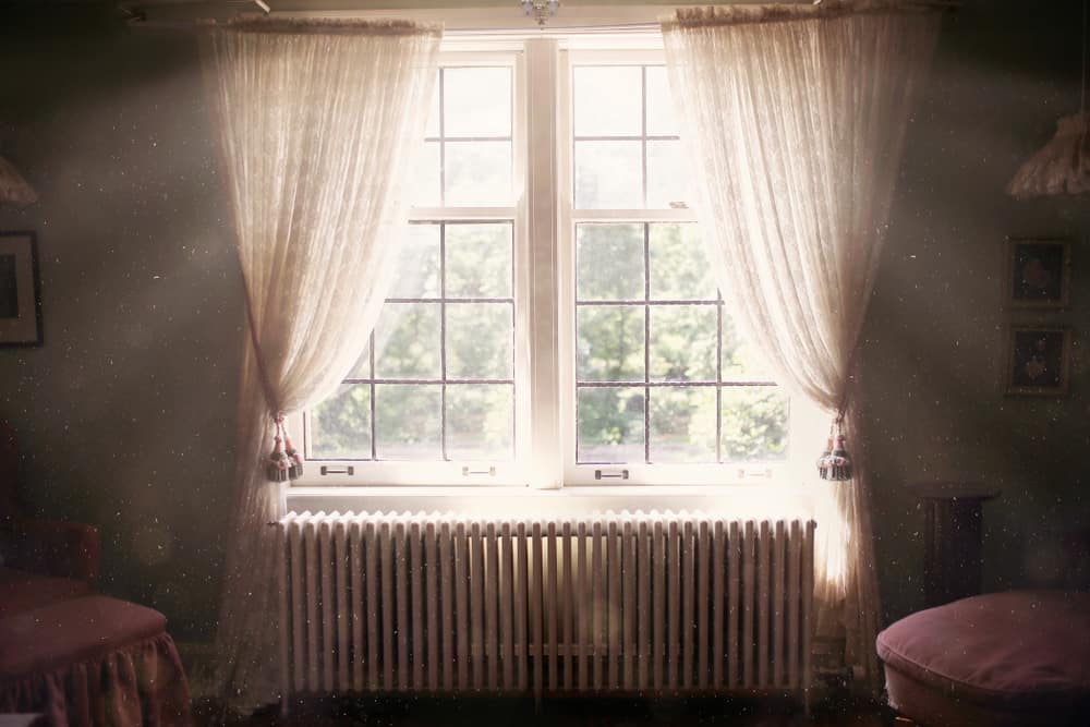 sunny window